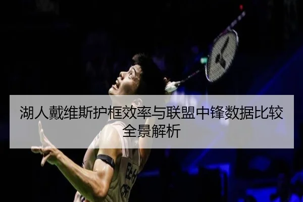 湖人戴维斯护框效率与联盟中锋数据比较全景解析