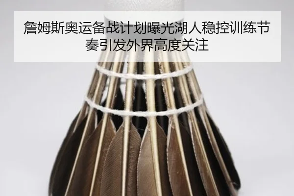 詹姆斯奥运备战计划曝光湖人稳控训练节奏引发外界高度关注